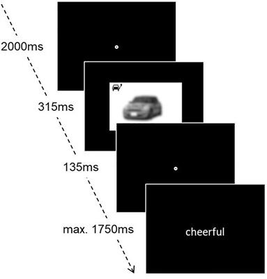 The Individual Green-Washing Effect in E-Mobility: Emotional Evaluations of Electric and <mark class="highlighted">Gasoline</mark> Cars